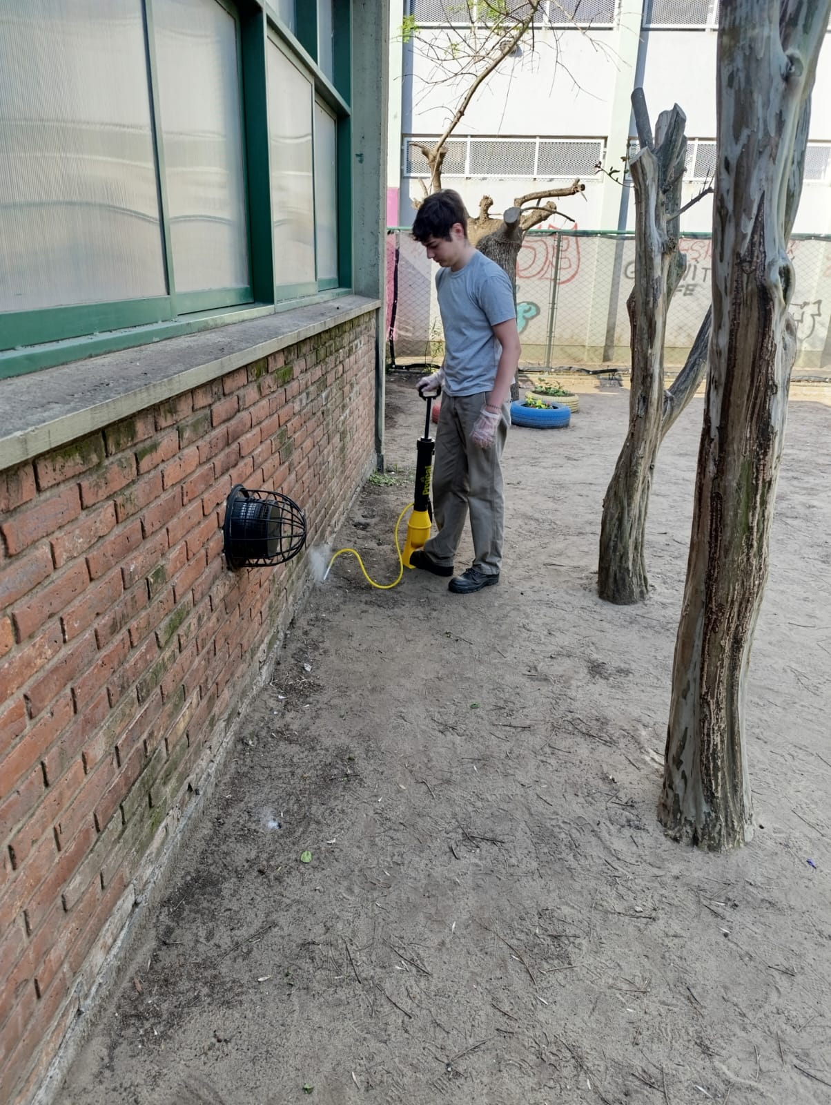 Trabajo de fumigación exterior